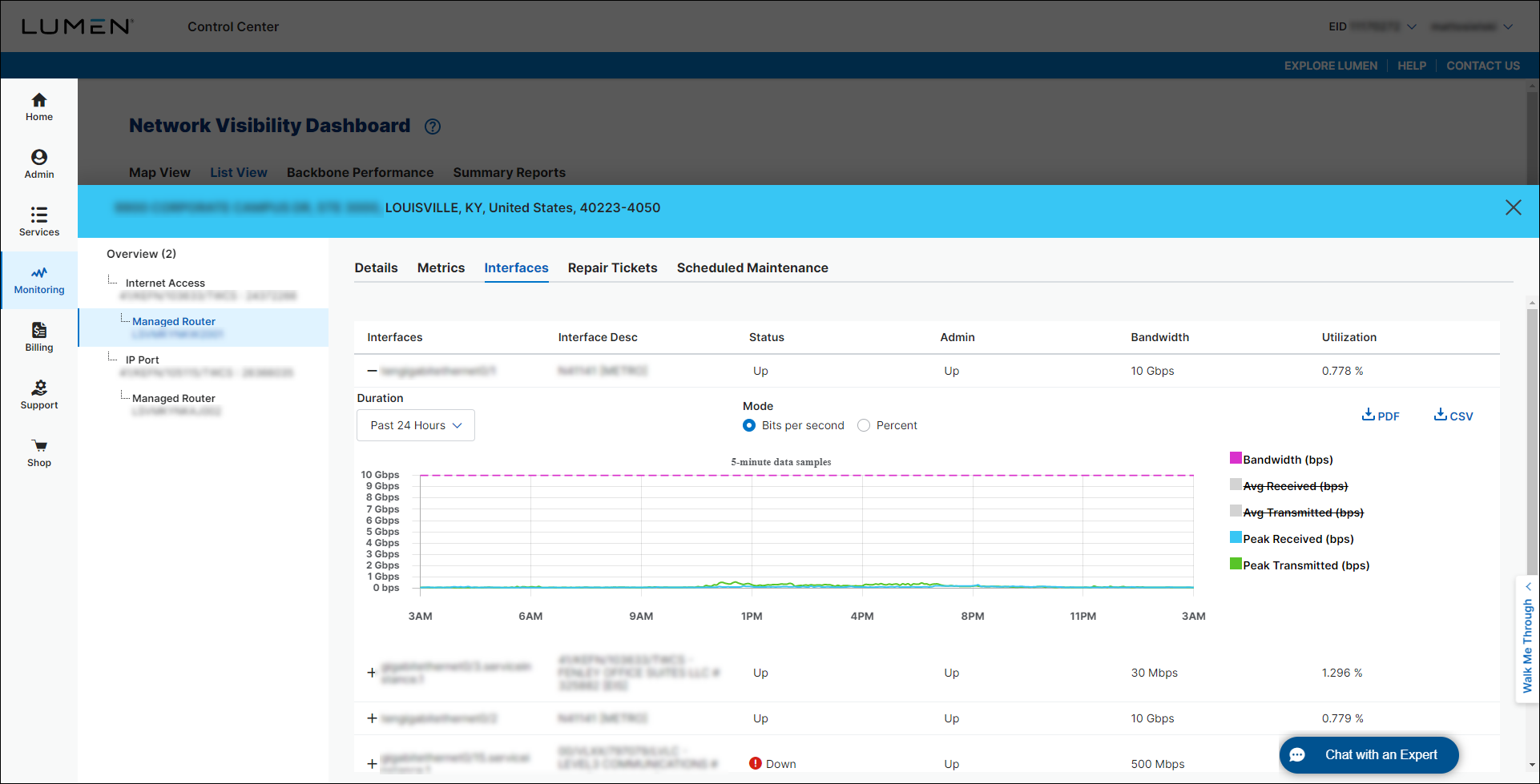 Network Visibility (showing the Interfaces tab for a managed router and interface details)