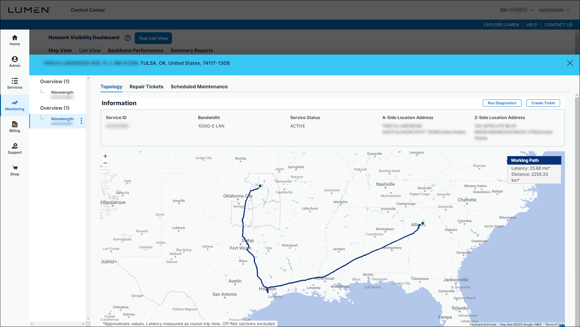 Network Visibility (showing the Topology tab for a wavelength service)